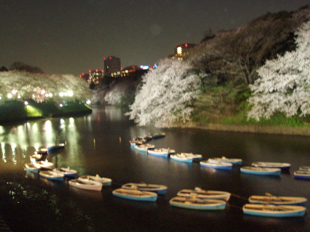 c0182809_0235389.jpg