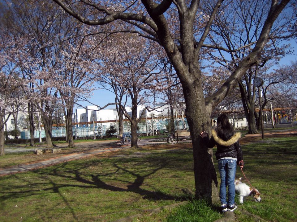 e0127409_13144761.jpg