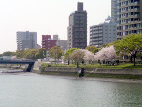 e0177509_19154977.jpg
