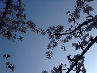 d0094310_2234311.jpg