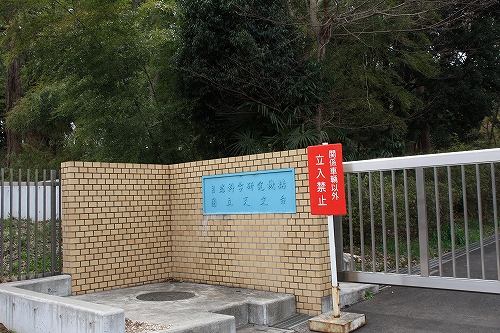 e0121110_20405482.jpg