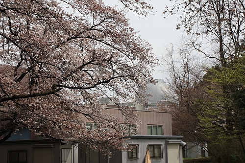 e0121110_20432058.jpg