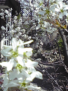 f0049813_13301078.jpg