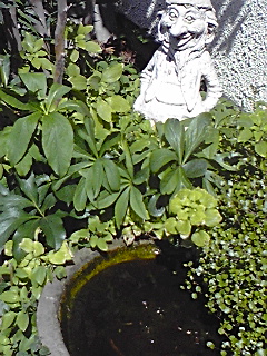 f0049813_13301191.jpg