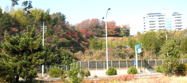 e0125014_1641392.jpg