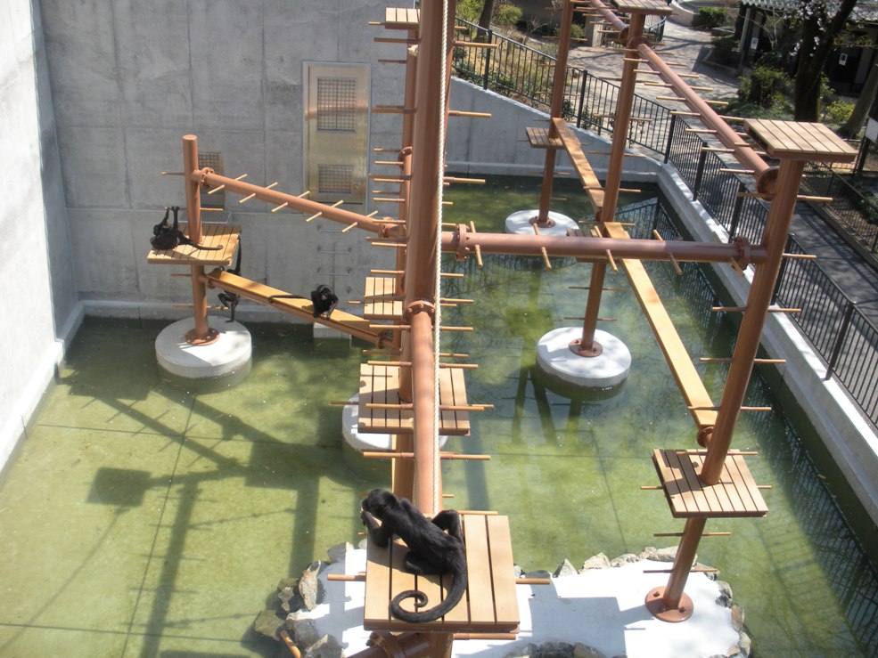 c0003217_16105658.jpg