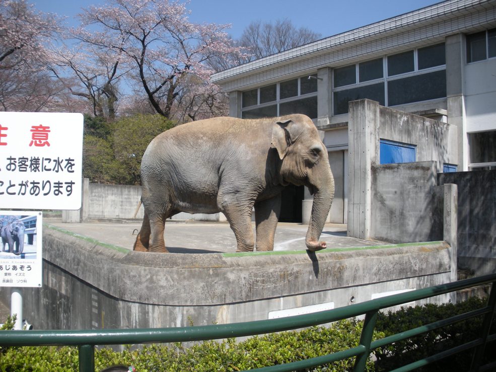 c0003217_1611356.jpg