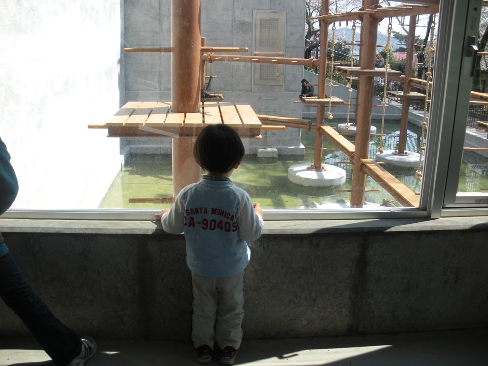 c0003217_1611646.jpg