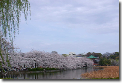 c0083817_774526.jpg