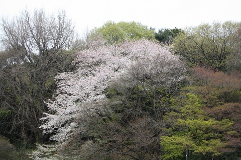 f0117618_18495430.jpg