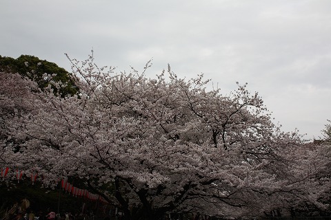 f0117618_18561694.jpg
