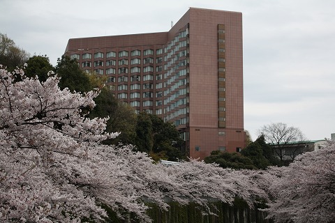 f0117618_23563376.jpg