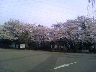 c0150520_18324418.jpg