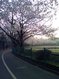 c0150520_18325912.jpg