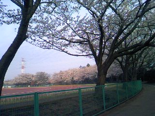 c0150520_18331156.jpg