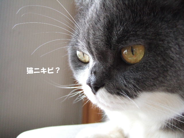 f0032020_11413510.jpg