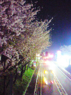 e0153022_68855.jpg