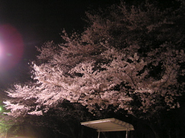 f0128723_23474466.jpg