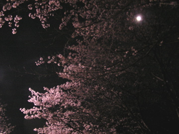 f0128723_2348950.jpg