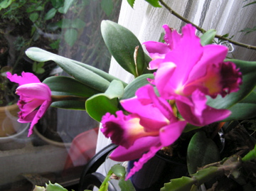 f0128723_23503854.jpg