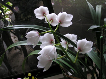 f0128723_23515021.jpg