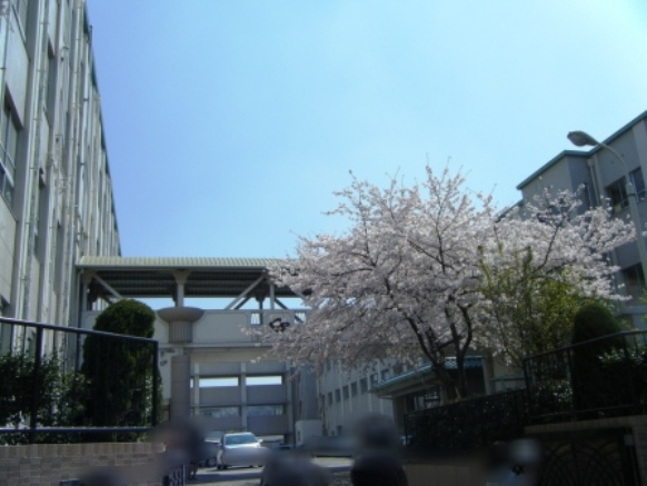 e0024126_1483947.jpg