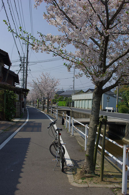 f0007926_22222996.jpg