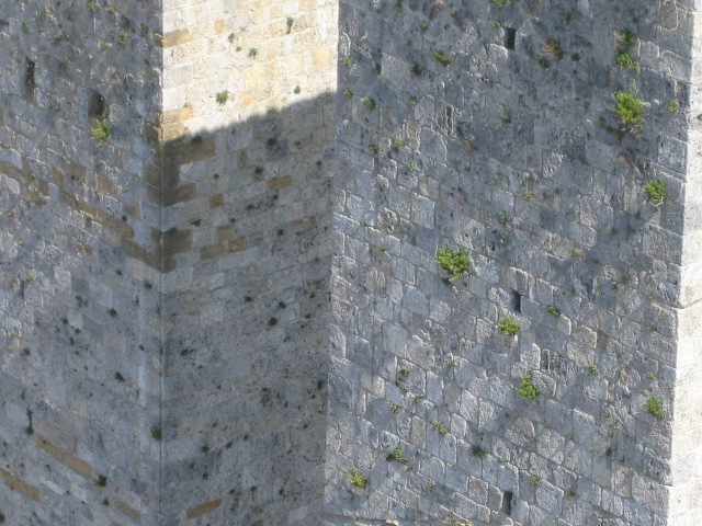 d0147727_2028565.jpg