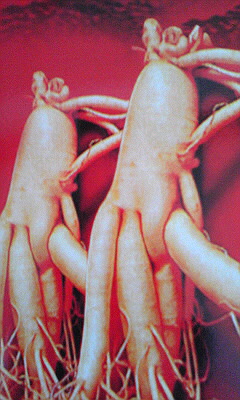 c0197628_663749.jpg