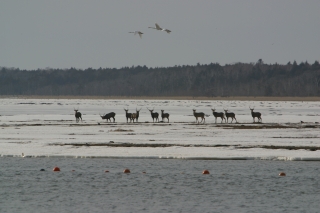f0053130_23182654.jpg