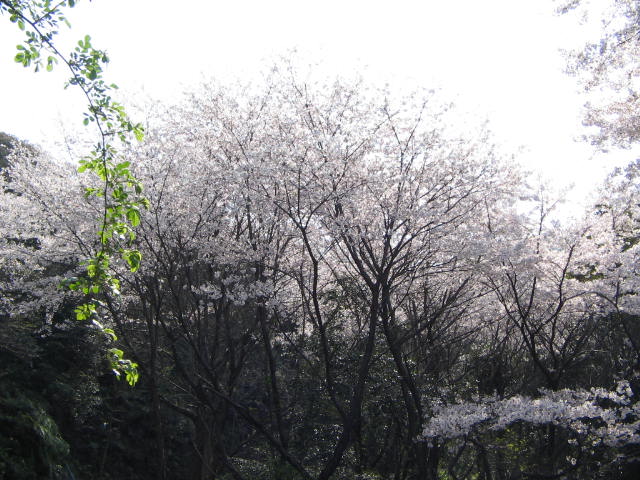 e0129831_1941131.jpg