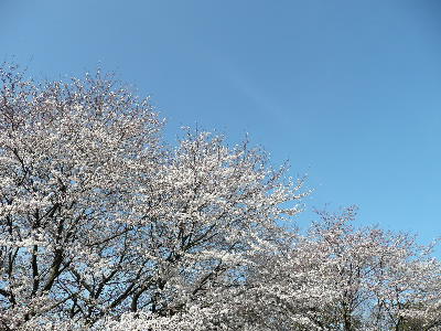 d0140133_18572297.jpg