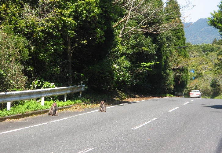 f0042737_13425152.jpg