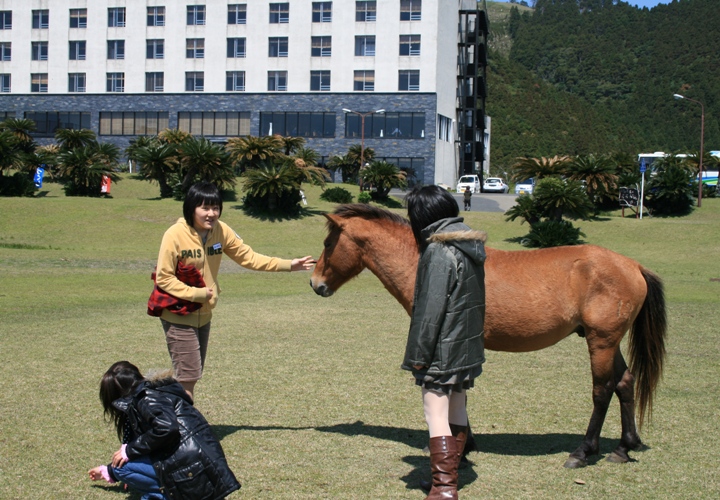 f0042737_1472185.jpg