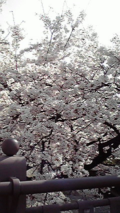 c0071040_9561366.jpg