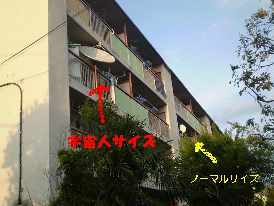 e0146340_15311262.jpg