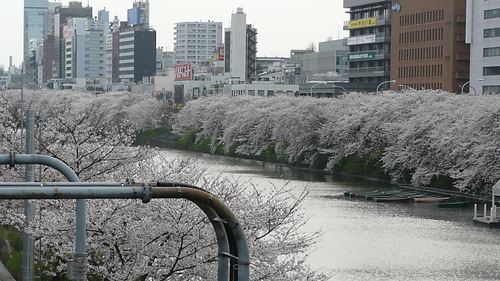 f0161340_12395041.jpg