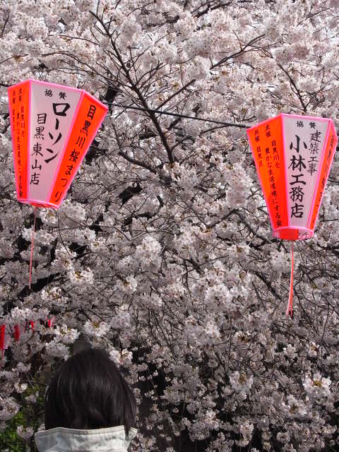a0087341_822388.jpg