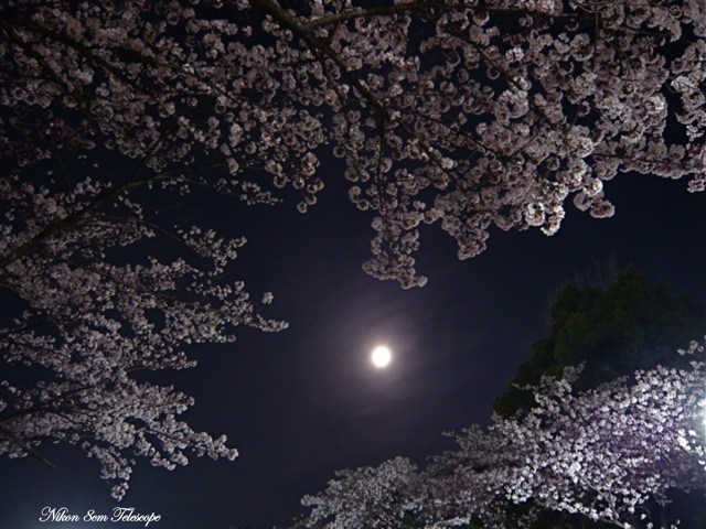 b0167343_154982.jpg