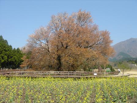 f0060943_2353610.jpg
