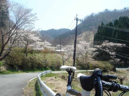 f0060943_2365473.jpg
