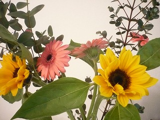 c0137145_7423046.jpg