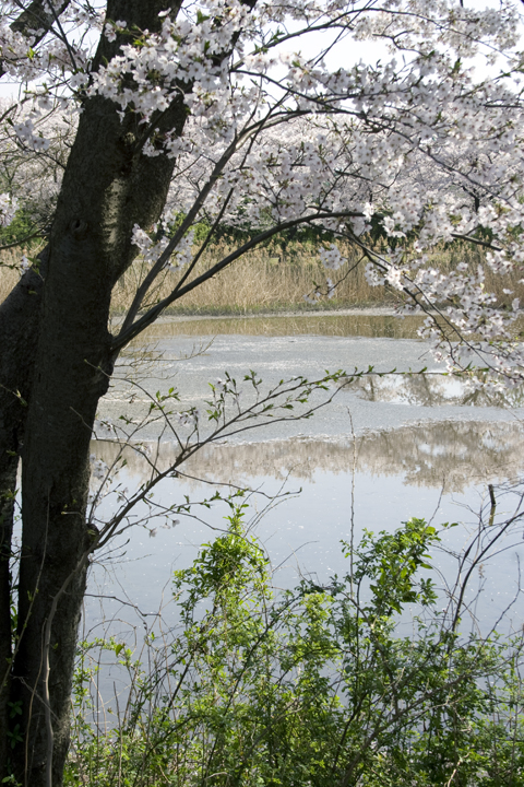 b0124346_22104258.jpg