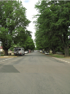 e0138350_1240466.jpg