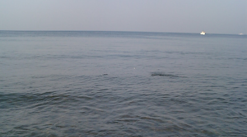 f0150151_8515515.jpg