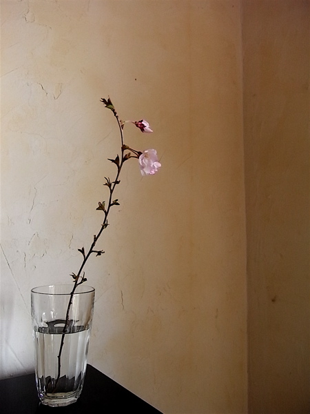 c0003752_23423851.jpg