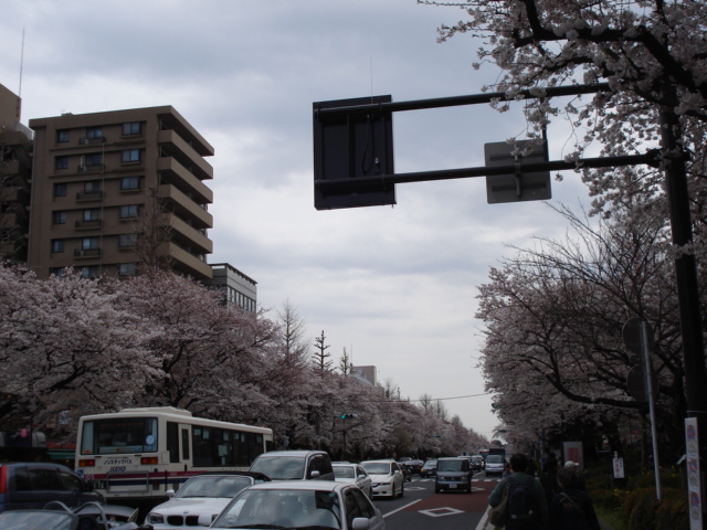 f0190054_1844999.jpg