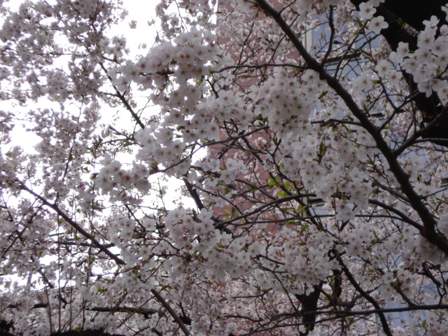 f0190054_1865142.jpg