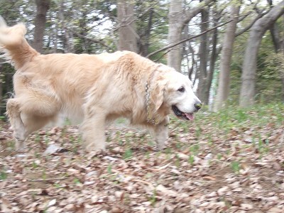 c0097558_10161444.jpg
