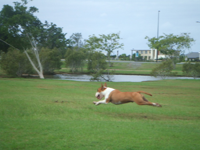 e0171460_21284062.jpg
